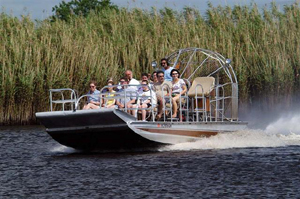 Visit the Everglades